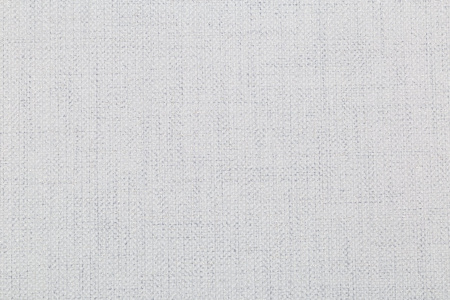 CAT_MACRO_PHOTOlI_HC31213-41_(2)