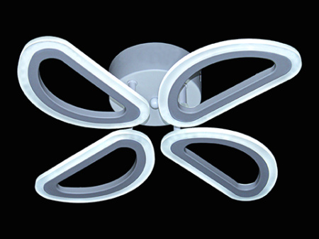 K008667_3