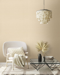 9299-02-%D0%B8%D0%BD%D1%82%D0%B5%D1%80%D1%8C%D0%B5%D1%80-5