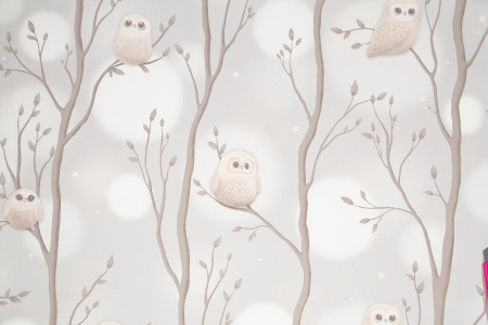 CAT_MACRO_PHOTOdI_HC72161-42_(1)