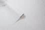 PHOTOiInt_HC31236-24