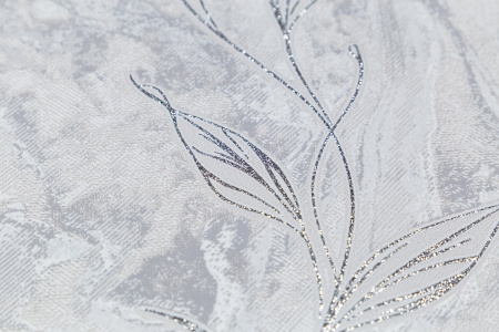 CAT_MACRO_PHOTOaI_HC11063-41_(3)