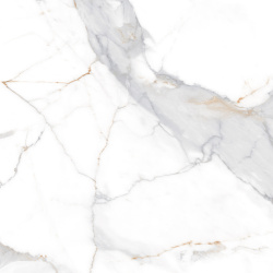 s8j1ujnra78h358jyrlv1lsp2mrp6osc