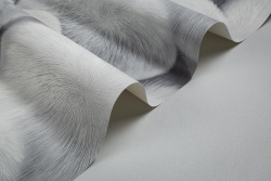 CAT_MACRO_PHOTOwImg_HC72585-14pHC71822-40_(2)