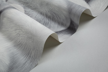 CAT_MACRO_PHOTOwImg_HC72585-14pHC71822-40_(2)