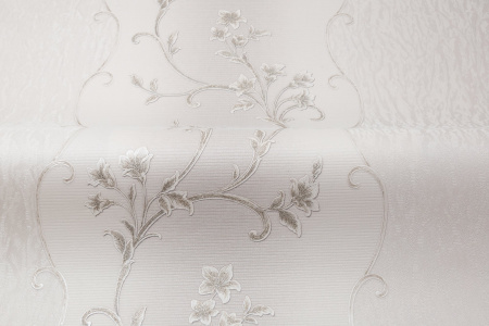 CAT_MACRO_PHOTOvI_HC31235-21_(4)