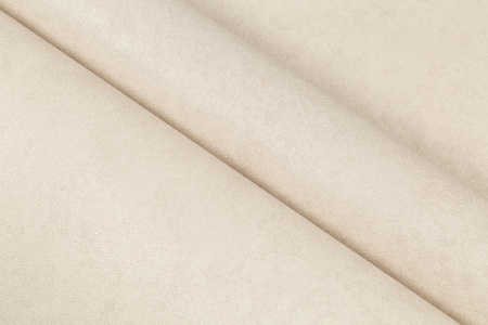 CAT_MACRO_PHOTOaI_HC72178-12_(8)