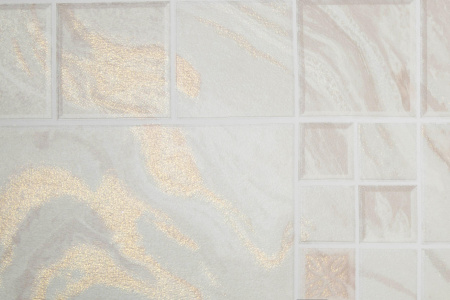 CAT_MACRO_PHOTOhI_HC11047-12_(3)