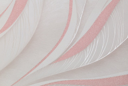 CAT_MACRO_PHOTOsI_PL72358-12_(3)