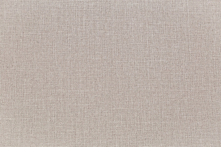 CAT_MACRO_PHOTOhI_VV72301-81_(2)