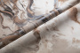 PHOTOsInt_HC72462-43