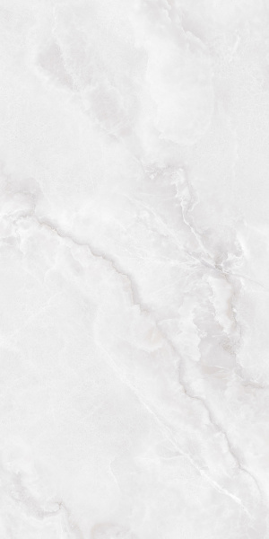 81dbc950-6252-11f0-bb97-000c298441c7 81dbc950-6252-11f0-bb97-000c298441c7