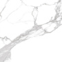 Oasis_GT
