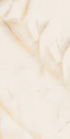 8b163592-4b1e-11ee-bbb8-00505693d103