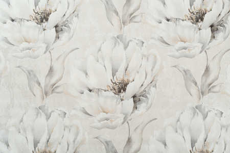 7rxuw3goxk2n2smsq3uwn4s5a1t41kdf