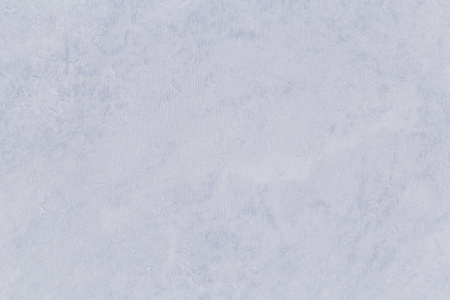 CAT_MACRO_PHOTOoI_HC72173-56_(3)