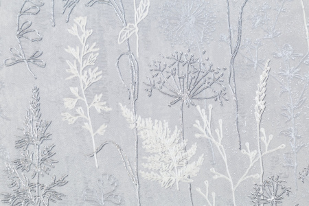 CAT_MACRO_PHOTOlI_PL72354-41_(2)