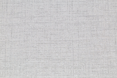 CAT_MACRO_PHOTOmI_HC31207-41_(2)