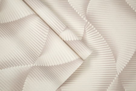 CAT_MACRO_PHOTOaI_HC72177-12_(11)