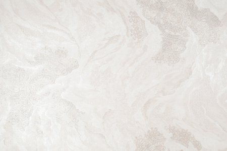 CAT_MACRO_PHOTOpI_HC72427-21_(1)