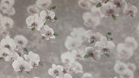 dmxu8f60bbsts0kk71ujd8fkol5w6dbl