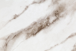 CAT_MACRO_PHOTOdI_HC72319-12_(2)