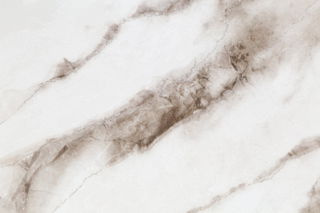 CAT_MACRO_PHOTOdI_HC72319-12_(2)