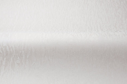 CAT_MACRO_PHOTOsI_HC31236-21_(3)