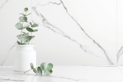 s4zxr0lgkl8h5xoidhuazbic8un4nnp3