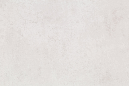 CAT_MACRO_PHOTOrI_PL72355-21_(2)