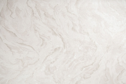 CAT_MACRO_PHOTObI_HC72428-21_(1)