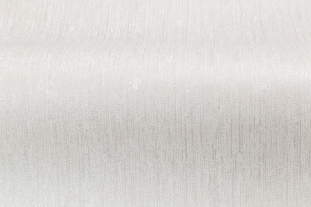 CAT_MACRO_PHOTOvI_PL81593-12_(3)