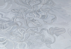 CAT_MACRO_PHOTOaI_HC31228-44_(3)