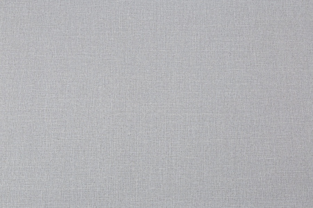 CAT_MACRO_PHOTOgI_VV72301-44_(1)