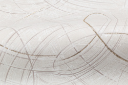 CAT_MACRO_PHOTOeI_PL81592-12_(4)