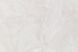 CAT_MACRO_PHOTOiI_HC11064-12_(3)