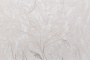PHOTOnInt_HC11063-12