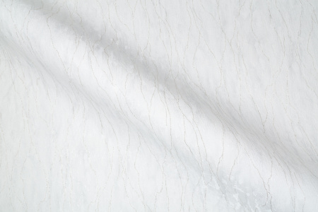 CAT_MACRO_PHOTOjI_SL72199-14_(6)