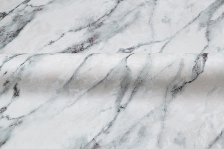 CAT_MACRO_PHOTOnI_HC72319-47_(4)