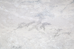 CAT_MACRO_PHOTOyI_HC72438-46_(2)