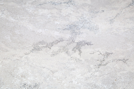 CAT_MACRO_PHOTOyI_HC72438-46_(2)