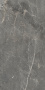 Tulip%20grey%201