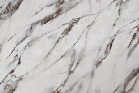 CAT_MACRO_PHOTOoI_HC72319-24_(1)