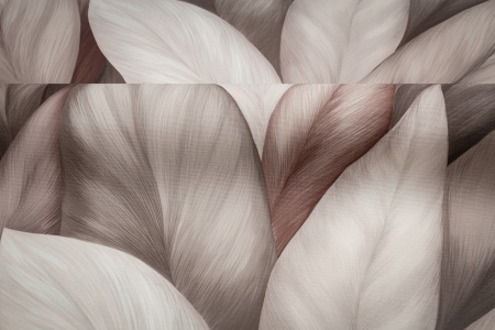 CAT_MACRO_PHOTOhI_TC72480-82_(3)