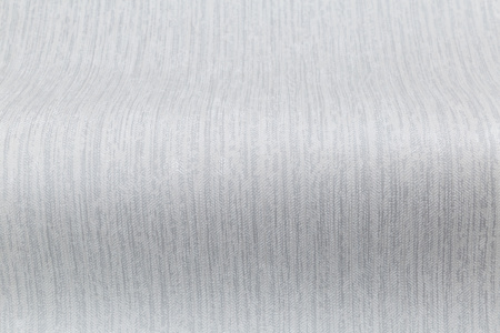 CAT_MACRO_PHOTOsI_PL81593-41_(3)