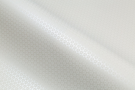 CAT_MACRO_PHOTOjI_HC72364-11_(5)