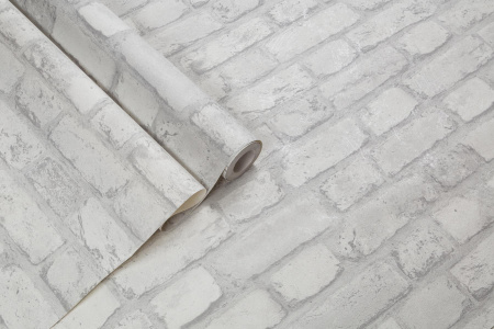 CAT_MACRO_PHOTOqI_HC72584-11_(5)