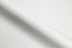 CAT_MACRO_PHOTOsImg_SP71992-41_(4)