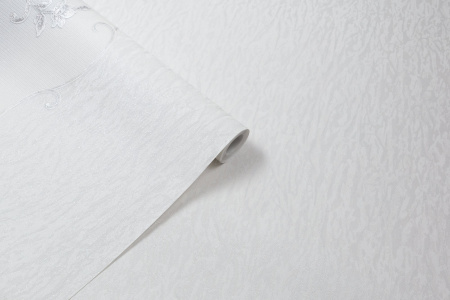 CAT_MACRO_PHOTOjI_HC31235-14hHC31236-14_(1)