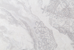 CAT_MACRO_PHOTOrI_HC72427-28_(2)